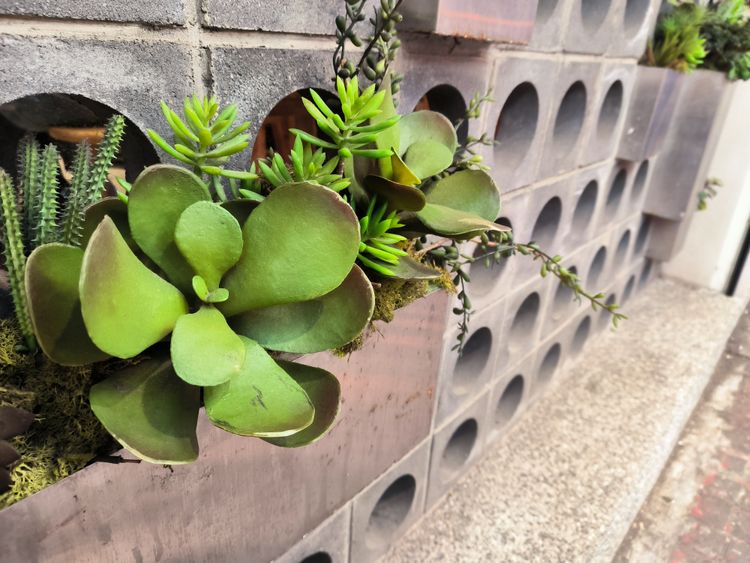 具1億像素專業級主鏡頭12T戶外實拍圖。王雪玲攝