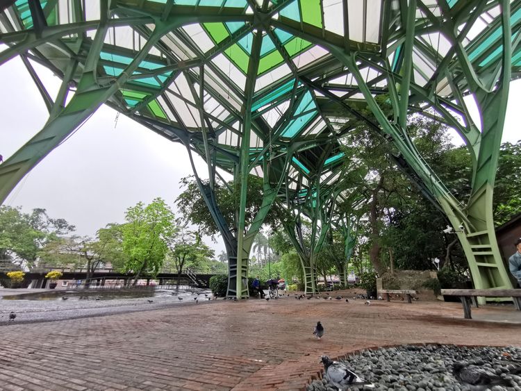 幾米星空飛天小火車已移置維修，預計17日廣場將封閉進行星空小火車升級，最快明年1月亮相。林泊志攝