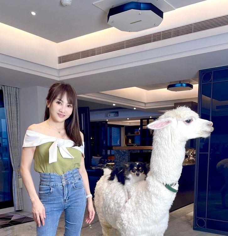 王宥忻在家裝殺菌燈防疫。固力狗提供