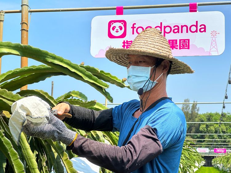 foodpanda 合作火龍果供應商大嘴水果和在地果園。黃子倫攝
