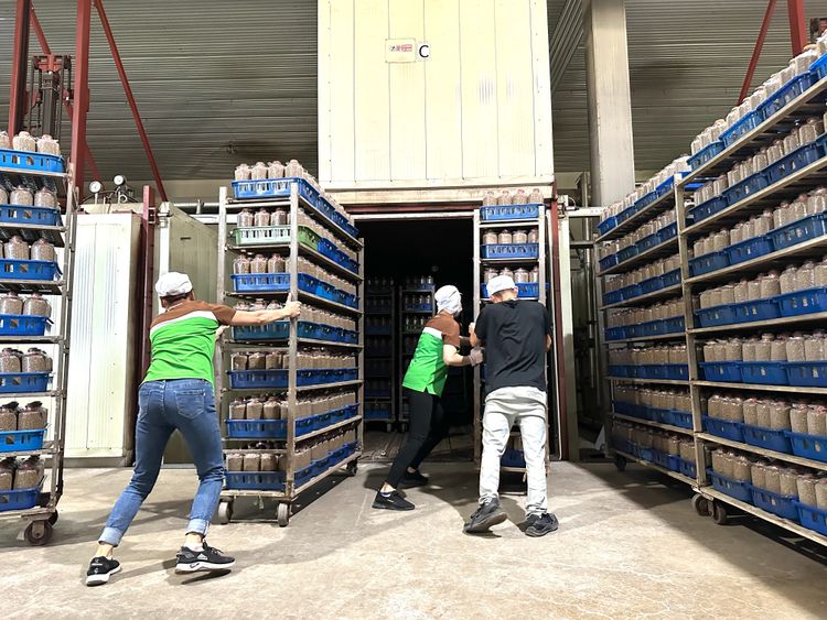 整潔規模化的萬生廠房。黃子倫攝