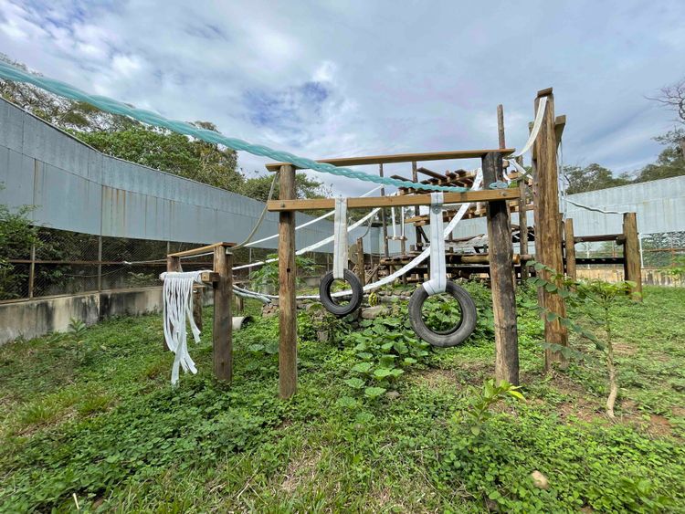野保中心打造猴子新樂園。屏科大野保中心提供