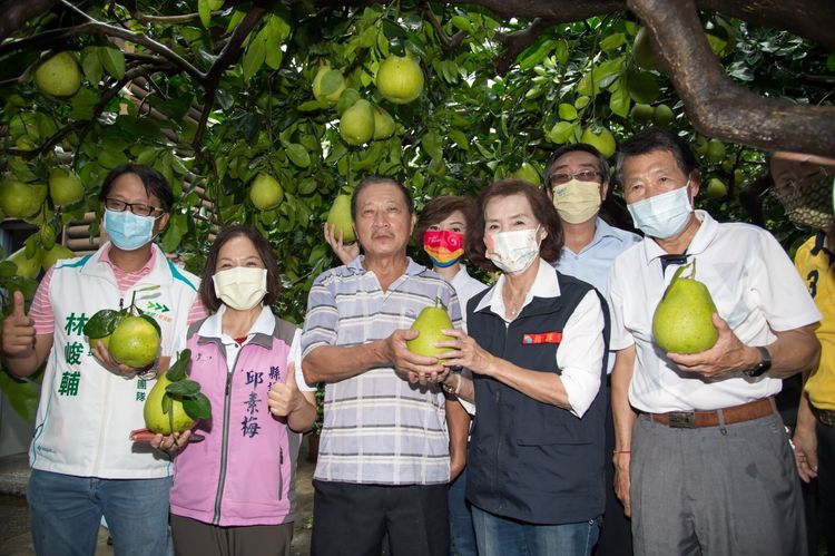 因今年白露距離中秋節僅間隔3天，農民採收銷售壓力較大，縣府及冬山鄉農會合作推出五大行銷方案，幫助農民。縣府提供