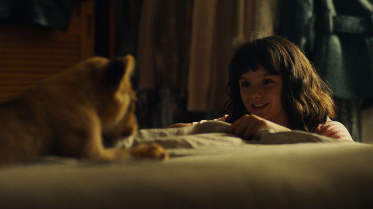 女主角盧蘭布雷希特在開拍前，天天與幼獅「金」相處，讓牠熟悉自己的氣味。中影提供