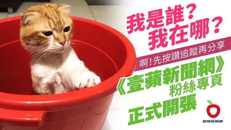 更多精彩新聞請看壹蘋新聞網粉絲專頁