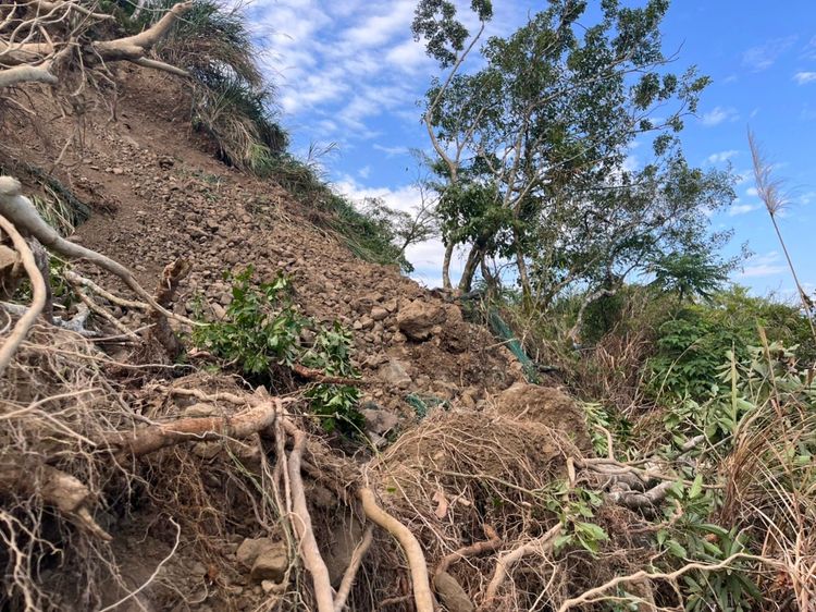 山坡土石樹木也因強震滑落擋住道路。富里鄉公所提供
