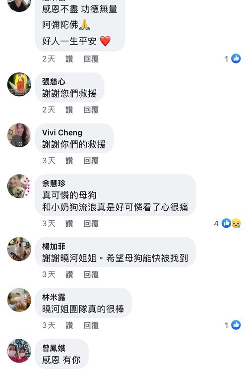 義工及時救援幼犬讓網友感動。翻攝童姓愛心媽媽臉書