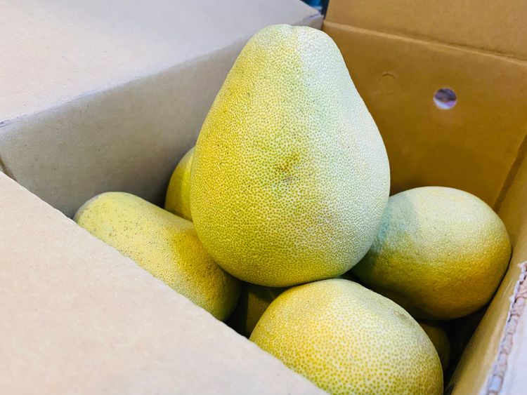 柚子是應景的中秋水果。孫英哲攝