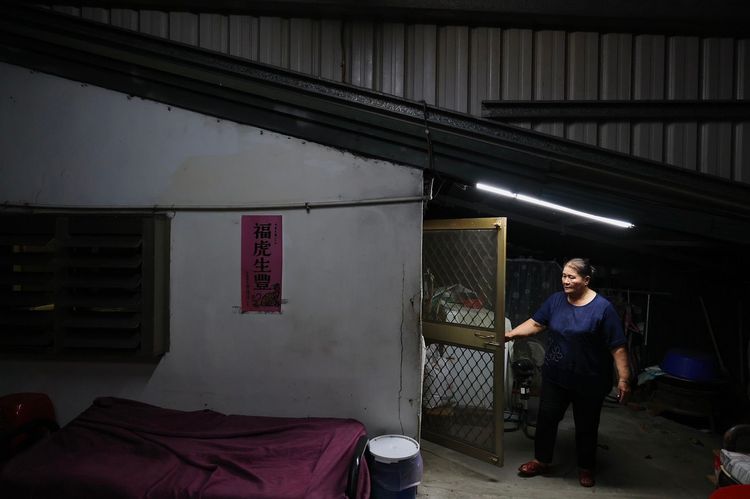 陳媽媽談到地震，仍心有餘悸。林林攝