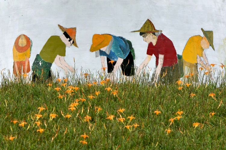 即便來客數銳減，林家園每年仍求新求變。林林攝