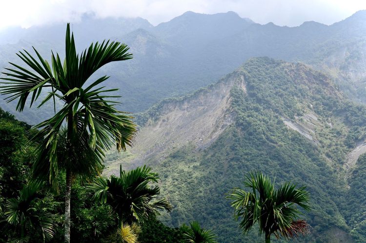 林信全表示，主要道路同樣沒有花上10天很難修復完善。林林攝