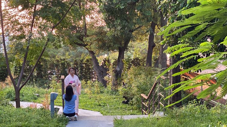 園區內綠意盎然。孫英哲攝