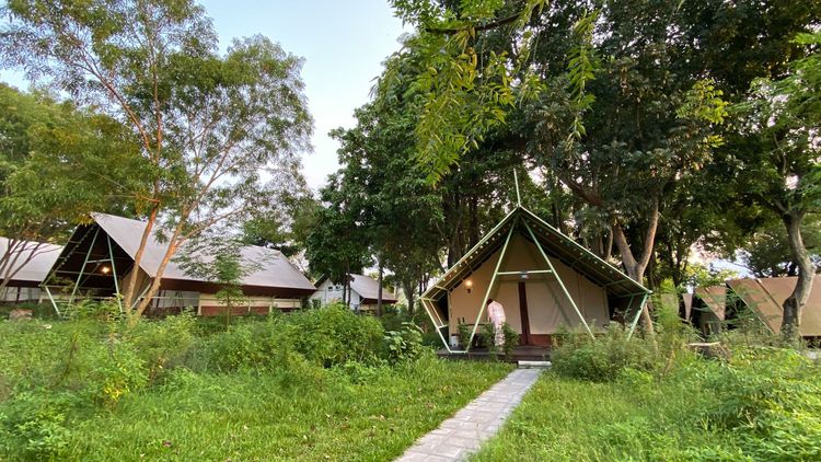 豪華露營近來大行其道。孫英哲攝