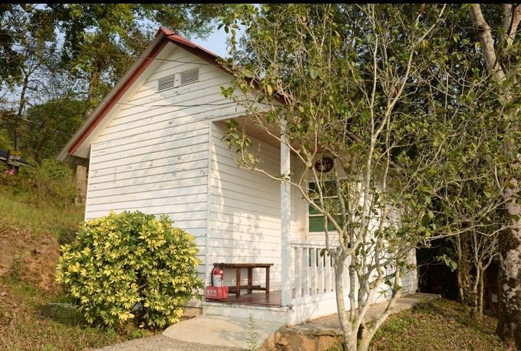 東勢林場小木屋外觀，完全坐落於森林之中。東勢林場提供