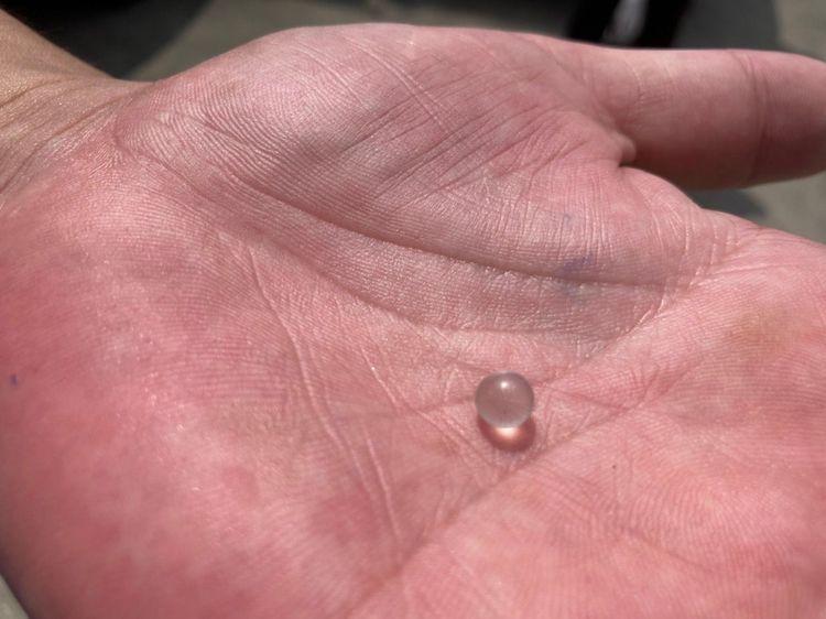 楊男槍擊所使用BB彈。民眾提供