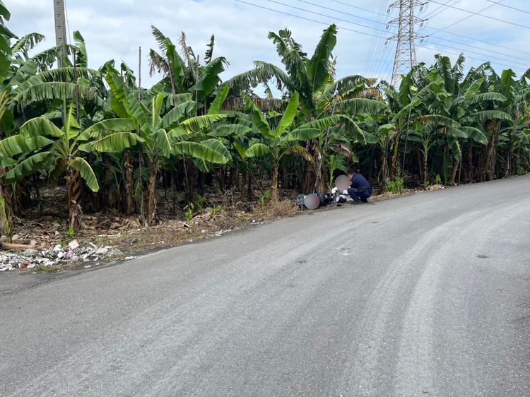 老翁自摔的香蕉園地點相當偏僻。警方提供
