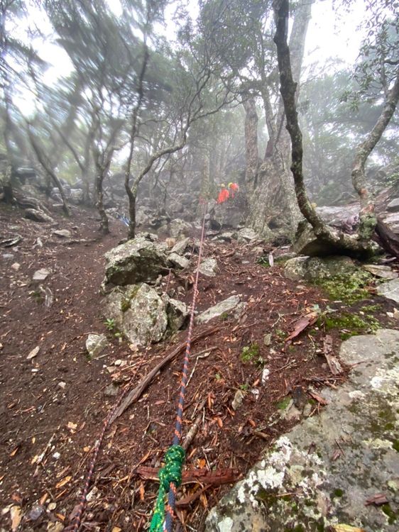 陳伯均失蹤現場地形惡劣。民眾提供
