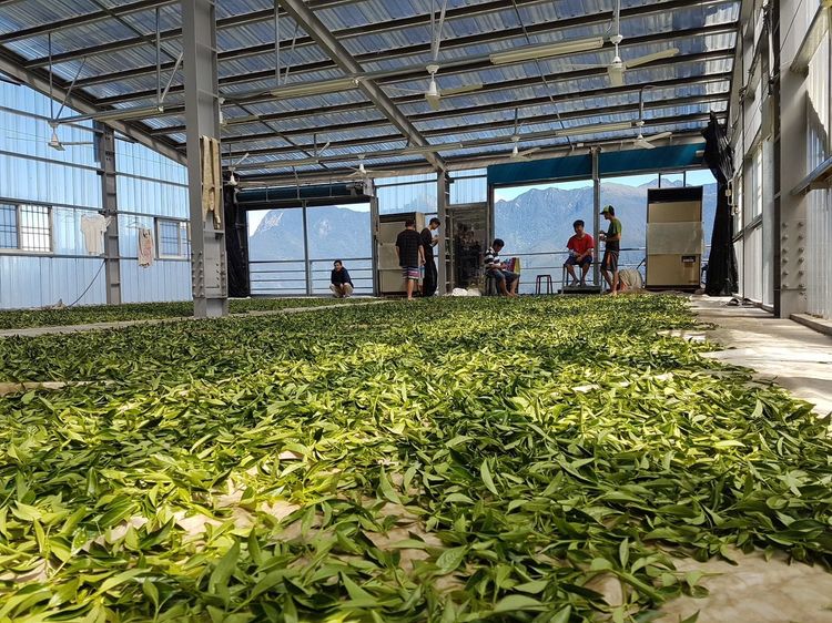 過程中還要不停的拌勻。七叔公提供