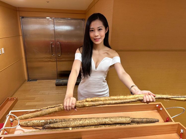 新北山藥是台灣特有野生品種，口感Q糯綿密，每台斤價格可達190元。曾佳俊攝