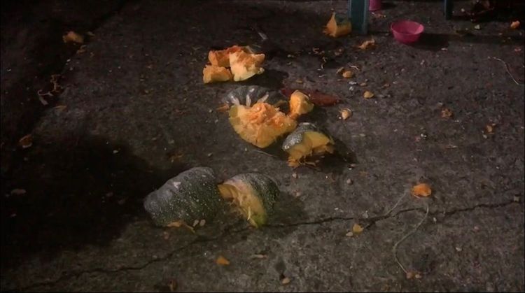 小貨車上的南瓜掉落一地砸成碎片。讀者提供