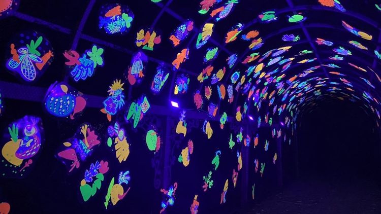 實光旅行，謝佑承工作坊。台東縣府提供