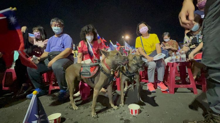 可愛狗狗背心插著國旗，跟著主人一起來為柯志恩打氣。侯昌騰攝