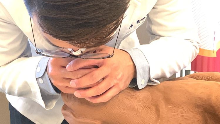 跟急救人類一樣，每按壓30次就要口對口吹氣2次，避免休克寵物缺氧。曾雪蒨攝
