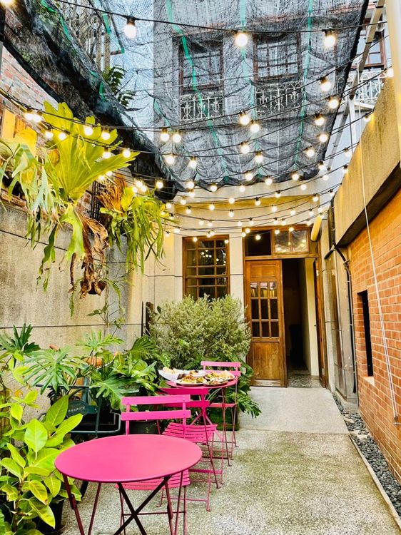 由「回春植栽Vivify Plants」規劃的鹿角蕨秘境，隨季節搭配不同觀景植物。曾仲葳攝