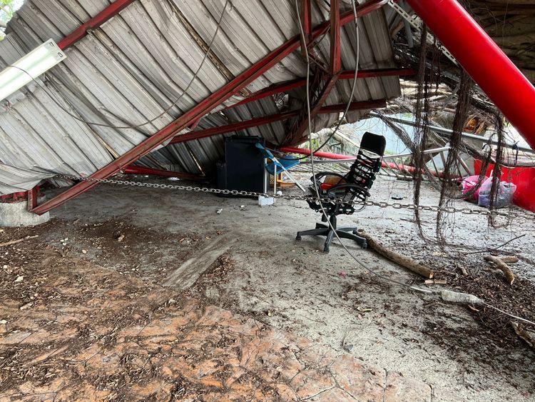 榕樹倒塌剛好壓傷廟埕兩名休憩的民眾。田兆緯攝