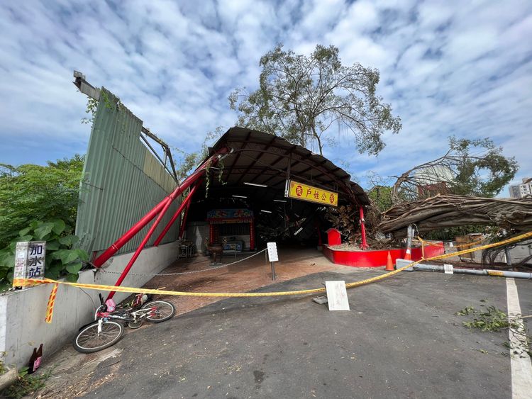老榕樹也壓壞一旁公廟遮陽屋頂。田兆緯攝