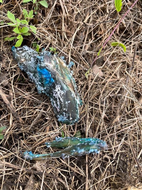 網友的愛犬在大寮潮寮河堤步道誤食巴拉刈雞骨喪命，他事後在附近撿到一大包類似毒餌（如圖）。翻攝自臉書大寮五四三開講吶喊專用