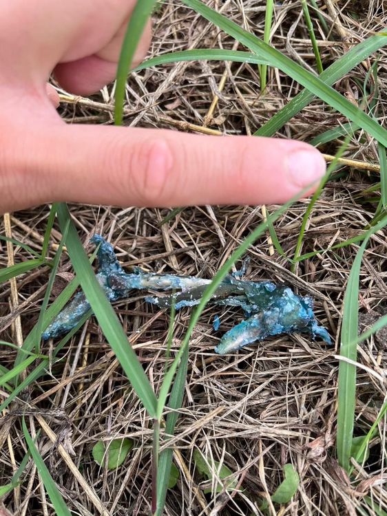 網友的愛犬在大寮潮寮河堤步道誤食巴拉刈雞骨喪命，他事後在附近撿到一大包類似毒餌（如圖）。翻攝自臉書大寮五四三開講吶喊專用