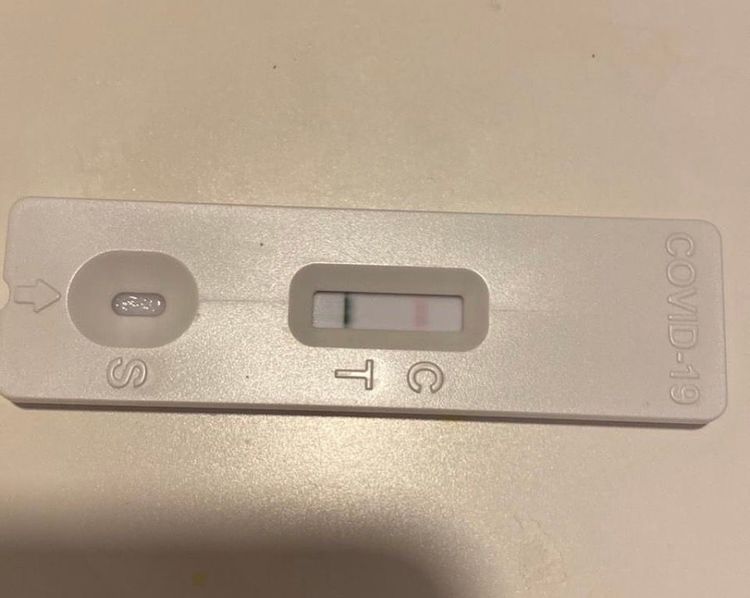 家家快篩兩條線。翻攝IG