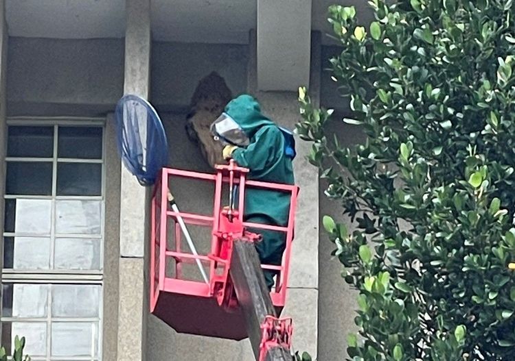 據悉鄭男是在下方擔任警戒人員。讀者提供