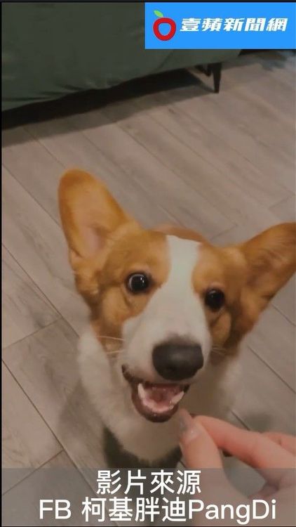 結果根本吃空氣，還吃得津津有味。