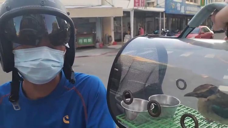 目擊八色鳥遭擊落並拾獲送醫的鳥友張先生。許逸民攝