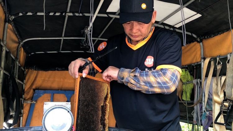 TEATOP轟蜜茶與三代蜂農合作支持百分之百純蜂蜜。業者提供