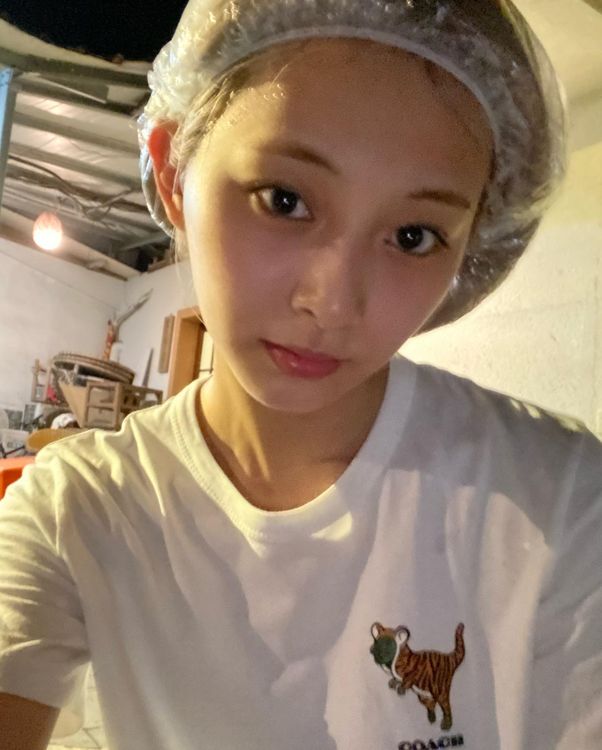 子瑜大方公開自己的浴帽照，融化粉絲。翻攝周子瑜IG