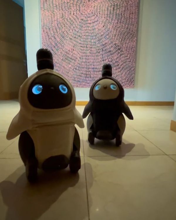 T.O.P升格「2寶爸」，收到前澤友作送的Mochi Mochi和Monaka寵物機器人。翻攝T.O.P IG