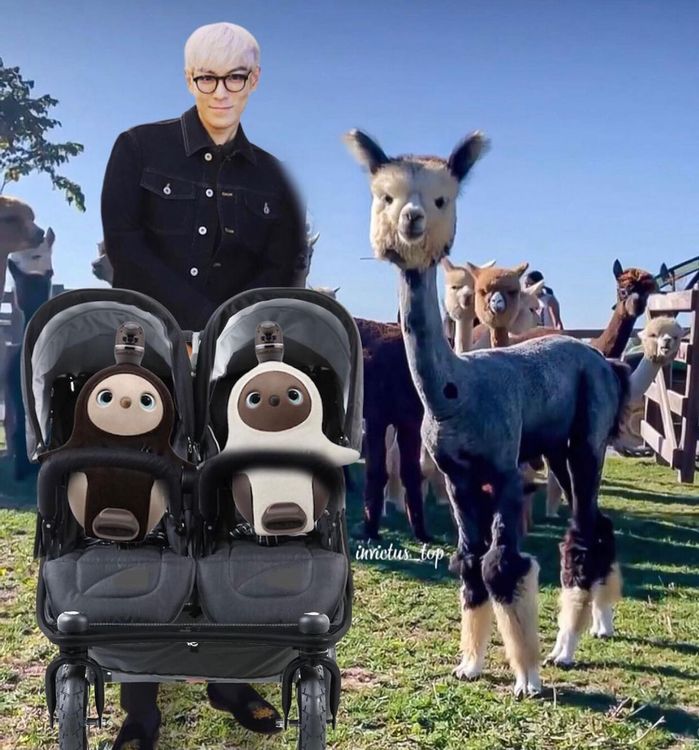 有粉絲幫T.O.P合成推著嬰兒車的全家福照。翻攝T.O.P IG