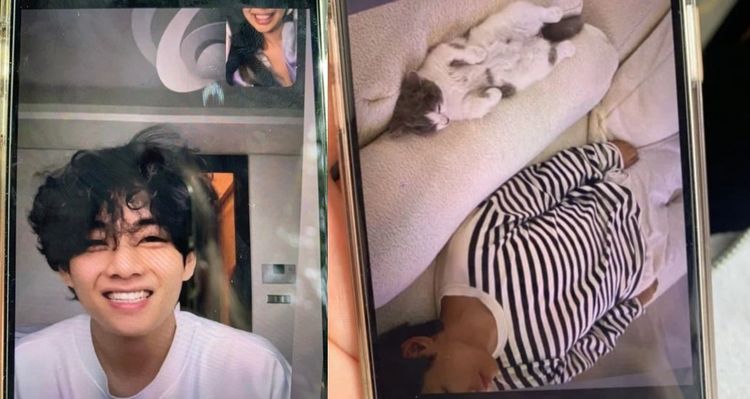 V（左圖左）與露出半張臉的Jennie視訊，還有疑似V的男生躺在床上，與Jennie家中的貓咪合影。翻攝推特