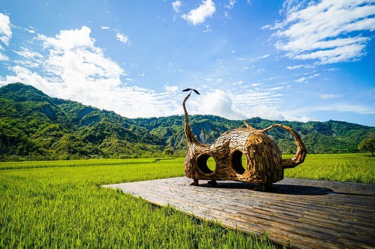 縱谷大地藝術季，伊祐噶照《 貓咪種子 》。水保局台東分局提供