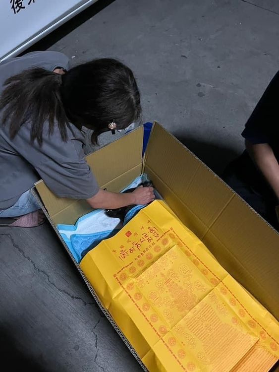 網友為遭毒殺身亡的愛犬，蓋上往生被，不捨撫摸告別。翻攝自臉書大寮五四三開講吶喊專用