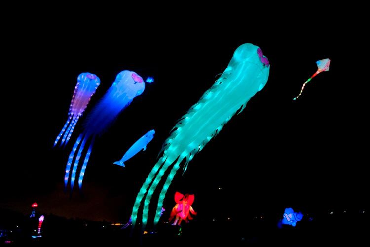 活動首日入夜後，將由首次曝光的夜光海豚，領軍夜光鯨魚、三葉蟲等海洋生物風箏，隨著繽紛燈光變化在天空閃耀。新竹市政府提供