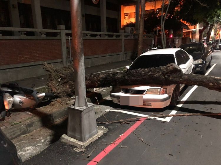 路樹倒塌直接封路，還壓中4輛汽機車。民眾提供