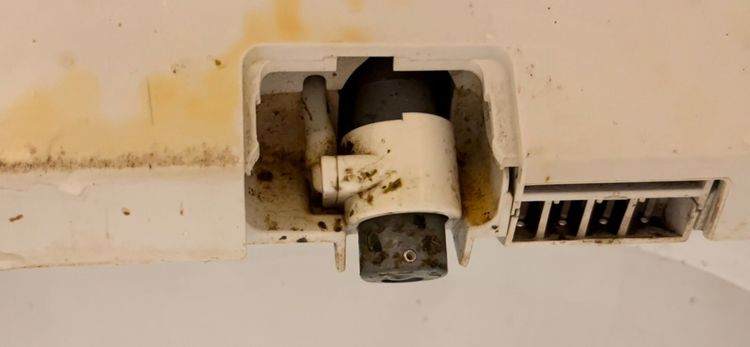 高虹安認為免治馬桶不僅有衛生上的疑慮，還有疾病傳染的風險。高虹安團隊提供