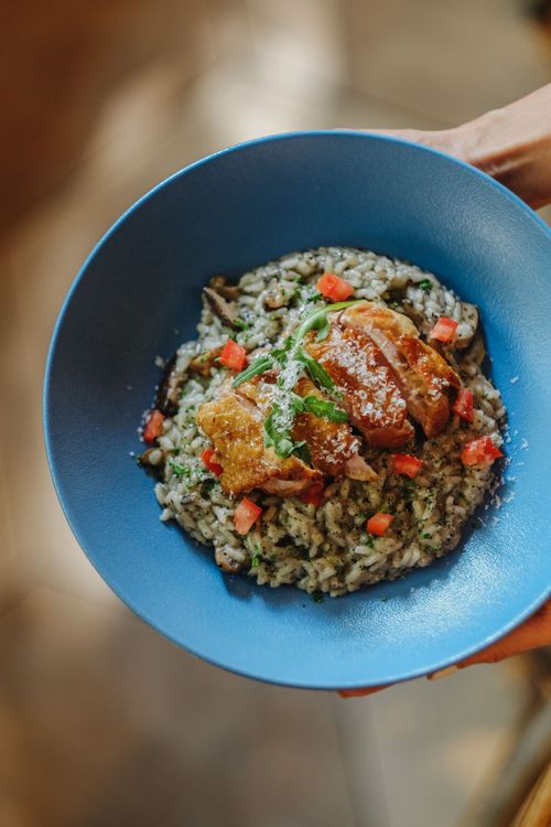 黑松露雞肉燉飯。業者提供