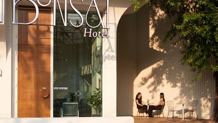 以門口百年榕樹為設計靈感的「曼谷盆栽酒店」。易遊網提供