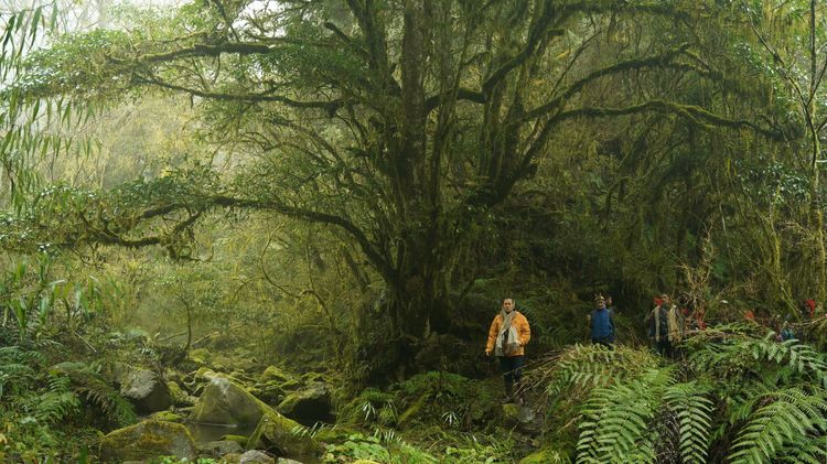 《哈勇家》拍攝地思源埡口。華映娛樂提供
