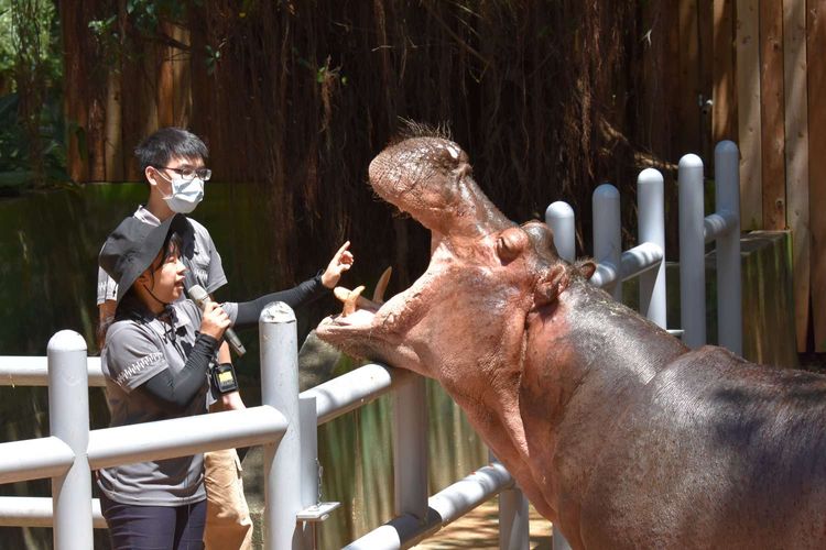 認養卡費用皆納入動物認養基金，用來購買動物用品如飼料、棲地設備、環境豐富化設施等。新竹市立動物園提供